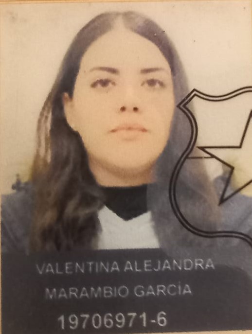 Perfil de Conductor